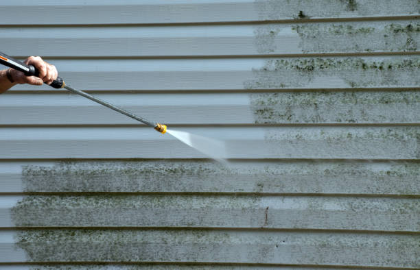 Best Residential Pressure Washing in Metamora, IL
